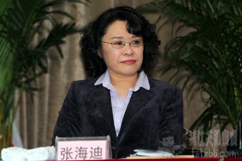 刘军主任出席全国孤独症服务机构负责人第二次联席会议